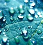 drops
